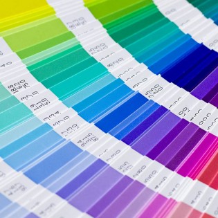 The Art Of Using Color On Your Labels